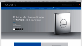 What Delabie.fr website looked like in 2020 (4 years ago)