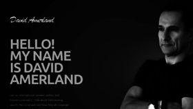 What Davidamerland.com website looked like in 2020 (4 years ago)