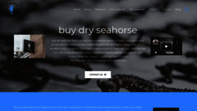 What Dryseahorseforsale.com website looked like in 2020 (4 years ago)