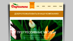 What Dneprsemena.com website looked like in 2020 (4 years ago)