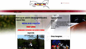 What Deijzerenman.com website looked like in 2020 (4 years ago)