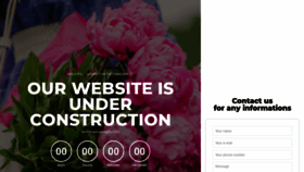 What Dohaflowersandgifts.com website looked like in 2020 (4 years ago)