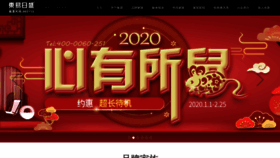What Dyrs.cn website looked like in 2020 (4 years ago)