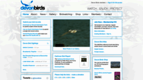 What Devonbirds.org website looked like in 2020 (4 years ago)