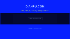What Dianpu.com website looked like in 2020 (4 years ago)