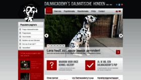 What Dalmatiers.nl website looked like in 2020 (4 years ago)