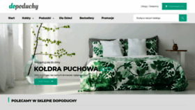 What Dopoduchy.pl website looked like in 2020 (4 years ago)