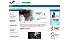 What Dzvozdovac.rs website looked like in 2020 (4 years ago)