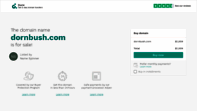What Dornbush.com website looked like in 2020 (4 years ago)
