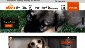 What Dspca.ie website looked like in 2020 (4 years ago)