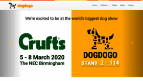 What Dogdogo.com website looked like in 2020 (4 years ago)