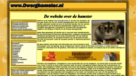 What Dwerghamster.nl website looked like in 2020 (4 years ago)