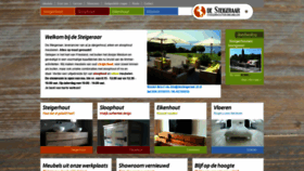 What Desteigeraar.nl website looked like in 2020 (4 years ago)