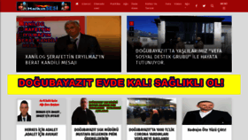 What Dogubayazithalkinsesi.com website looked like in 2020 (4 years ago)