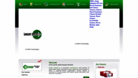 What Dgsets.com website looked like in 2020 (4 years ago)