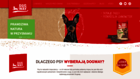 What Dogway.pl website looked like in 2020 (4 years ago)