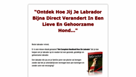 What De-labrador-retriever.nl website looked like in 2020 (4 years ago)