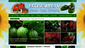 What Dacha-info.ru website looked like in 2020 (4 years ago)