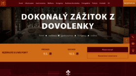 What Druzbahotel.sk website looked like in 2020 (4 years ago)