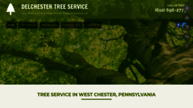 What Delchestertreeservice.com website looked like in 2020 (3 years ago)