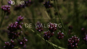 What Dewalburg.nl website looked like in 2020 (3 years ago)