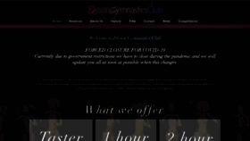 What Dysongymnastics.com website looked like in 2020 (3 years ago)