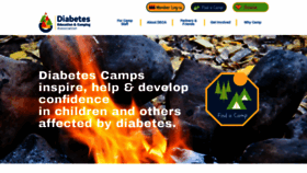 What Diabetescamps.org website looked like in 2020 (3 years ago)