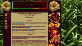 What Daylilymeadows.com website looked like in 2020 (3 years ago)