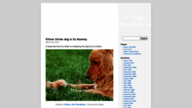 What Dailypets.co.uk website looked like in 2020 (3 years ago)