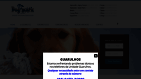 What Dognostic.com.br website looked like in 2020 (3 years ago)