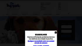 What Dognostic.com.br website looked like in 2020 (4 years ago)