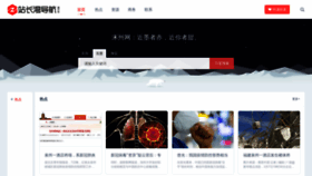What Danzha.cn website looked like in 2020 (3 years ago)