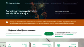 What Domeinbalie.nl website looked like in 2020 (3 years ago)