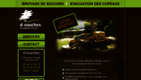 What D-souches.fr website looked like in 2020 (3 years ago)