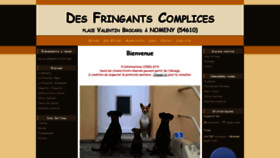 What Desfringantscomplices.com website looked like in 2020 (3 years ago)