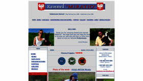 What Dobermann.net.pl website looked like in 2020 (3 years ago)