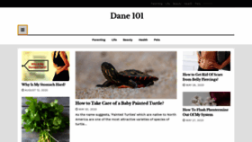 What Dane101.com website looked like in 2020 (3 years ago)