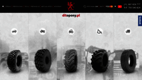 What Ditopony.pl website looked like in 2020 (3 years ago)