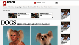 What Dogs-magazin.de website looked like in 2020 (3 years ago)
