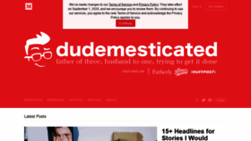 What Dudemesticated.com website looked like in 2020 (3 years ago)
