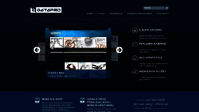 What Datapro.cz website looked like in 2020 (4 years ago)