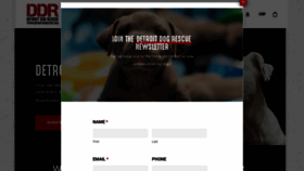 What Detroitdogrescue.com website looked like in 2020 (3 years ago)