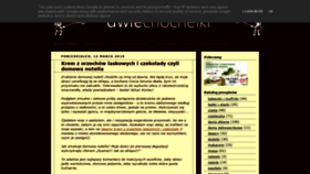 What Dwiechochelki.pl website looked like in 2020 (3 years ago)