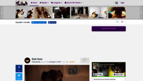 What Dogcatselfie.com website looked like in 2020 (3 years ago)