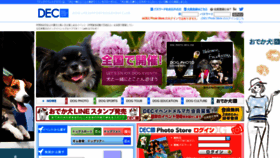 What Doglife.info website looked like in 2020 (3 years ago)