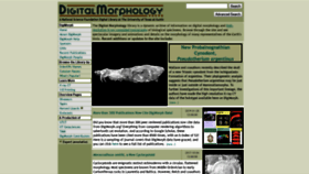 What Digimorph.org website looked like in 2020 (4 years ago)