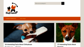 What Dogcrunch.com website looked like in 2020 (3 years ago)
