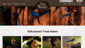What Delinature.be website looked like in 2020 (3 years ago)