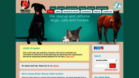 What Dchanimalrescue.org.au website looked like in 2020 (3 years ago)