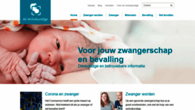 What Deverloskundige.nl website looked like in 2020 (3 years ago)